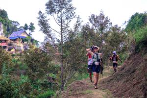 BIB: 
                            <button type="button" onclick="openModal(24848275)" class="btn btn-primary btn-sm float-right btn-popup" data-toggle="modal" data-target=".modal-high-quality">
                        <i class="fas fa-shopping-cart"></i> Add to Cart
                    </button>
                                            <button type="button" onclick="isThisMe(24848275, true)" class="btn btn-success btn-sm float-right btn-popup btn-isme hidden" data-toggle="tooltip" data-placement="bottom" title="นี่คือรูปของคุณใช่ไหม คลิกที่นี่เพื่อเอาเข้าอัลบั้ม">
                        <i class="fas fa-plus"></i> Add to album
                    </button>
                    <button type="button" onclick="isThisMe(24848275, false)" class="btn btn-warning btn-sm float-right btn-popup btn-isnotme hidden">
                        <i class="fas fa-ban"></i> Remove from album
                    </button>